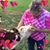 Amy Tyler Bingman's profile image