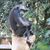 Heather Nicholson's profile image