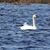 Kathy Jones Fritz's profile image
