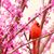 Tammy Talbott-Onus's profile image