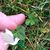 Kathie M Bruen's profile image