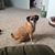 Bailey Warren's profile image