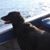 Jennifer Jungen Mahan's profile image