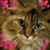 Teresa Tay Bevens's profile image