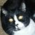 Michael Morton's profile image