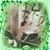 Becky Fortner Clark's profile image