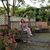Raquel Alvarado's profile image