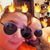 Theresa Sunder's profile image
