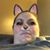Deborah Voiers's profile image