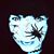 Tracy Columbe's profile image