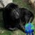 Herma Rodriquez's profile image
