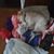 Chris Burdick's profile image