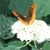 Lahoma Banks's profile image