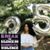 Jasmine Garcia's profile image