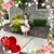Cindy Lynn Eudy's profile image
