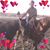 Melodie Freshour's profile image