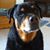 Bridget Redig's profile image