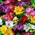 Donna Miller's profile image