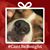 AmyJhondeer Rosamonda Reyes's profile image