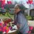 Ann Ingle's profile image