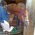 Phyllis Meaux's profile image