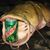 Bill King's profile image