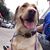 Paul Whitlock's profile image