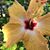 Nadine Mrowicki's profile image