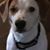Debbie Henry's profile image