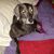 Gisela Babette's profile image
