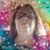 Brenda Ornelas's profile image