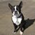 Cathy Jackson-Luckett's profile image