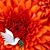 Mary Jane Matecki's profile image