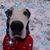 Robert Vance's profile image