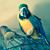 Janet Fite's profile image
