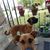 Barbara Smith Leveque's profile image