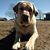 Janell Denlinger's profile image