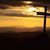 Vicki Richeson-Lamb's profile image