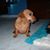 Clare Scianna's profile image