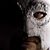 Travis Bedard's profile image