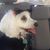 Diane Mcgavin Bunnell's profile image