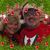 Diana Trout's profile image