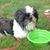 Kath Grinold's profile image