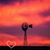Renee Hoshaw's profile image