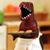 Amanda Clark's profile image
