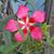 Brenda McReynolds's profile image