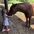 Sharon Berry-Burgard's profile image