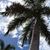Cindy Schoenherr's profile image