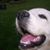 Glenda Britton's profile image