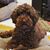 Beth Kirchner's profile image